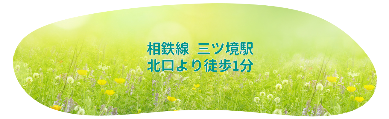 鳥越耳鼻咽喉科,横浜市旭区笹野台,三ツ境駅,耳鼻咽喉科